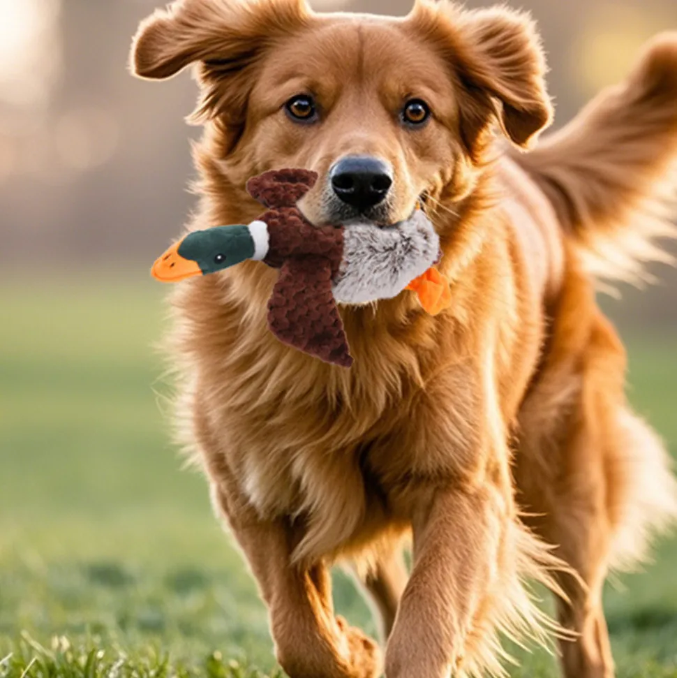 DOWNYPAWS - Jouet pour chien en forme de canard en peluche