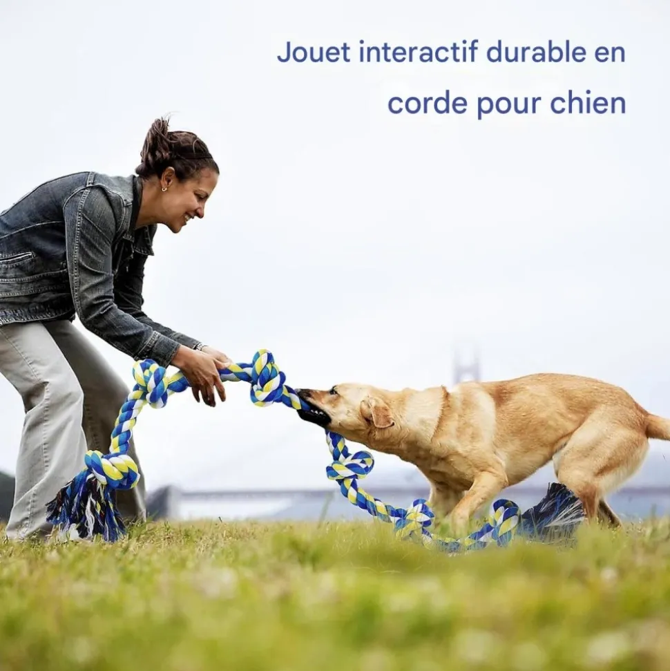 DOWNYPAWS - Jouets de tir à la corde