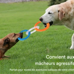 DOWNYPAWS - Jouets de tir à la corde