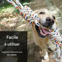 DOWNYPAWS - Jouets en corde, corde de 40 cm pour chiens de petite et moyenne taille, jouet durable à mâcher et nettoyant les dents