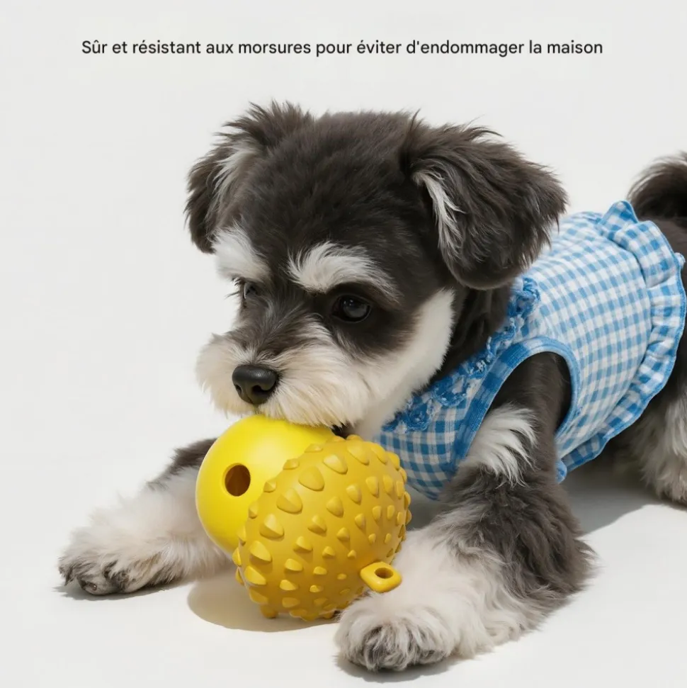 DOWNYPAWS - Jouets à mâcher bon pour le nettoyage des dents-fuite alimentaire en forme de noix