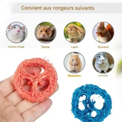 DOWNYPAWS - Jouets à mâcher - 20 pièces luffa naturel couleur aléatoire