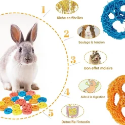 DOWNYPAWS - Jouets à mâcher - 20 pièces luffa naturel couleur aléatoire