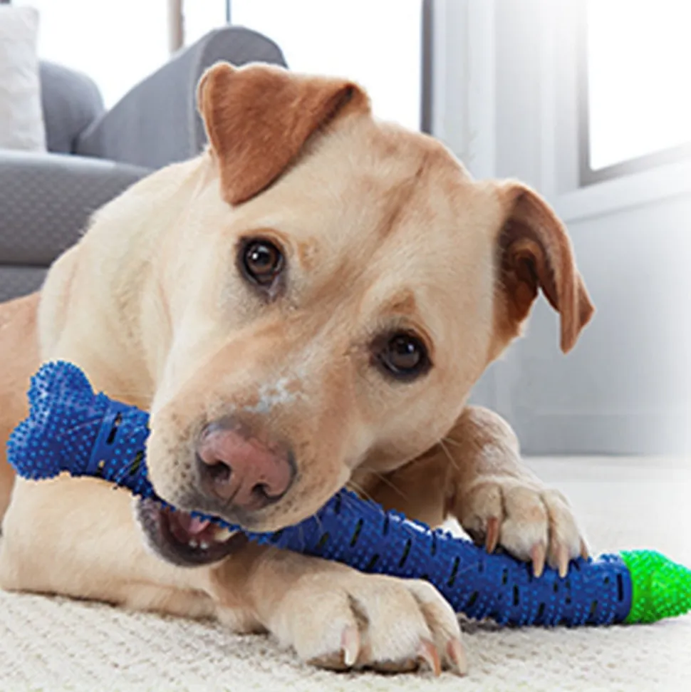 DOWNYPAWS - Jouets à mâcher pour chiens-jouet os à mâcher pour chienamovible-bleu 26*5*5cm