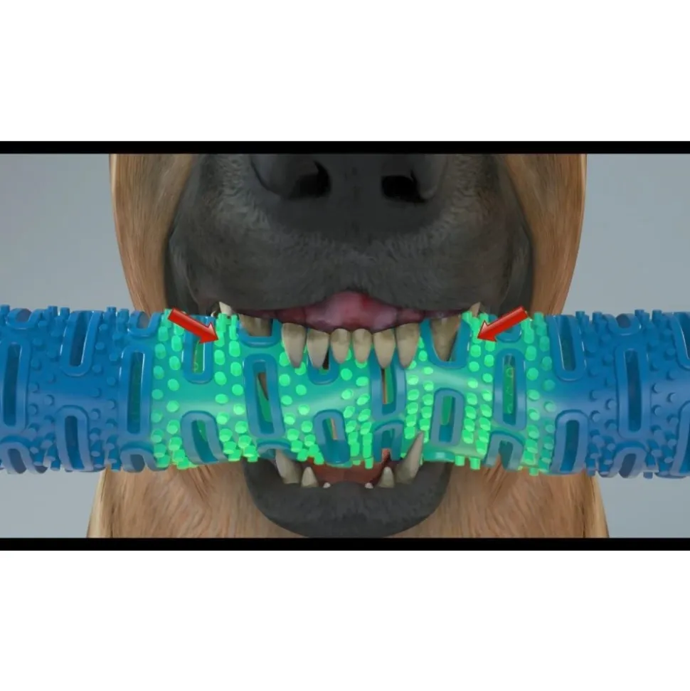 DOWNYPAWS - Jouets à mâcher pour chiens-jouet os à mâcher pour chienamovible-bleu 26*5*5cm