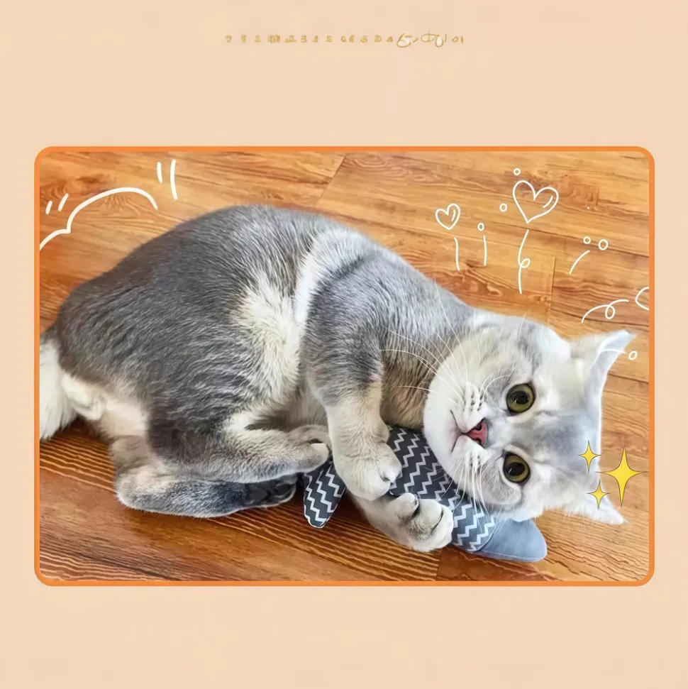 DOWNYPAWS - Jouets pour chats: simulation d'herbe à chat poisson teaser dentition