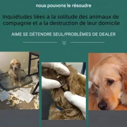 DOWNYPAWS - Jouets pour chiens-frisbee pour chien boomerang 2 articles-jaune + rouge