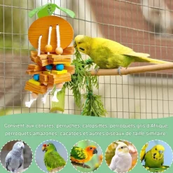 DOWNYPAWS - Jouets à ronger - lot de 4 puzzle d'entraînement