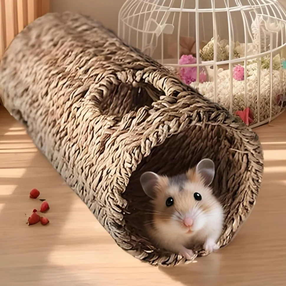 DOWNYPAWS - Jouet tunnel et systèmes de tubes - interactif sûr, favorise mouvements et enrichit cage