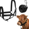 DOWNYPAWS - Laisse de dressage licol pour cheval