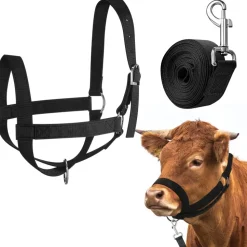 DOWNYPAWS - Laisse de dressage licol pour cheval