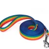 DOWNYPAWS - Laisse de dressage pour chien