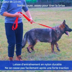 DOWNYPAWS - Laisse de dressage pour chien