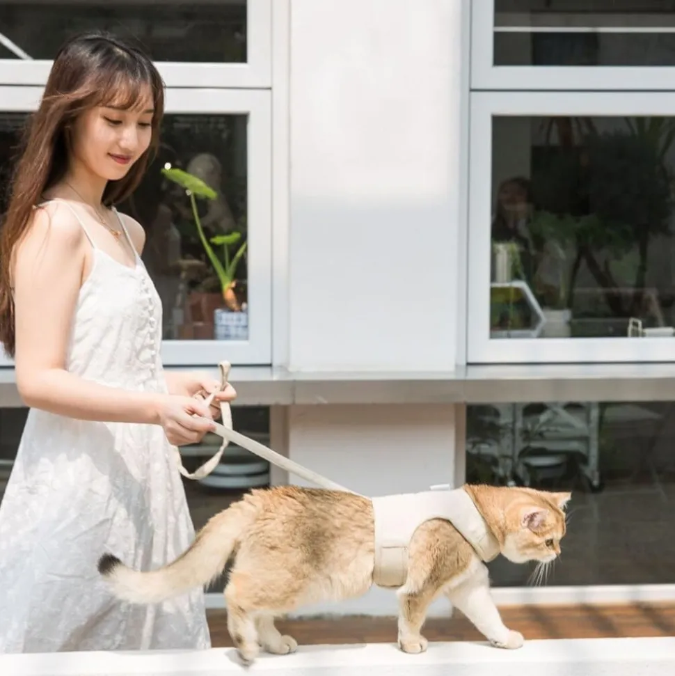 DOWNYPAWS - Laisse et harnais pour chat-m