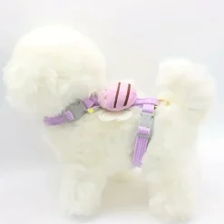 DOWNYPAWS - Laisse papillon taille s, polyester, pour petits chiens et chats