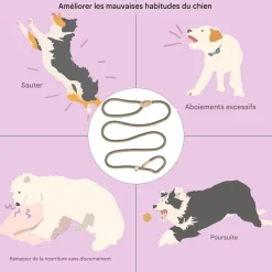 DOWNYPAWS - Laisse pour chienlaisse de dressage et collier réfléchissants et coulissants en nylon de 180 cm, couleur beige,