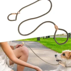 DOWNYPAWS - Laisse pour chienlaisse de dressage et collier réfléchissants et coulissants en nylon de 180 cm, couleur beige,