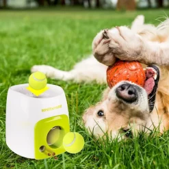 DOWNYPAWS - Lanceur de balles pour chien, alimentation automatique, balle adaptée, compact