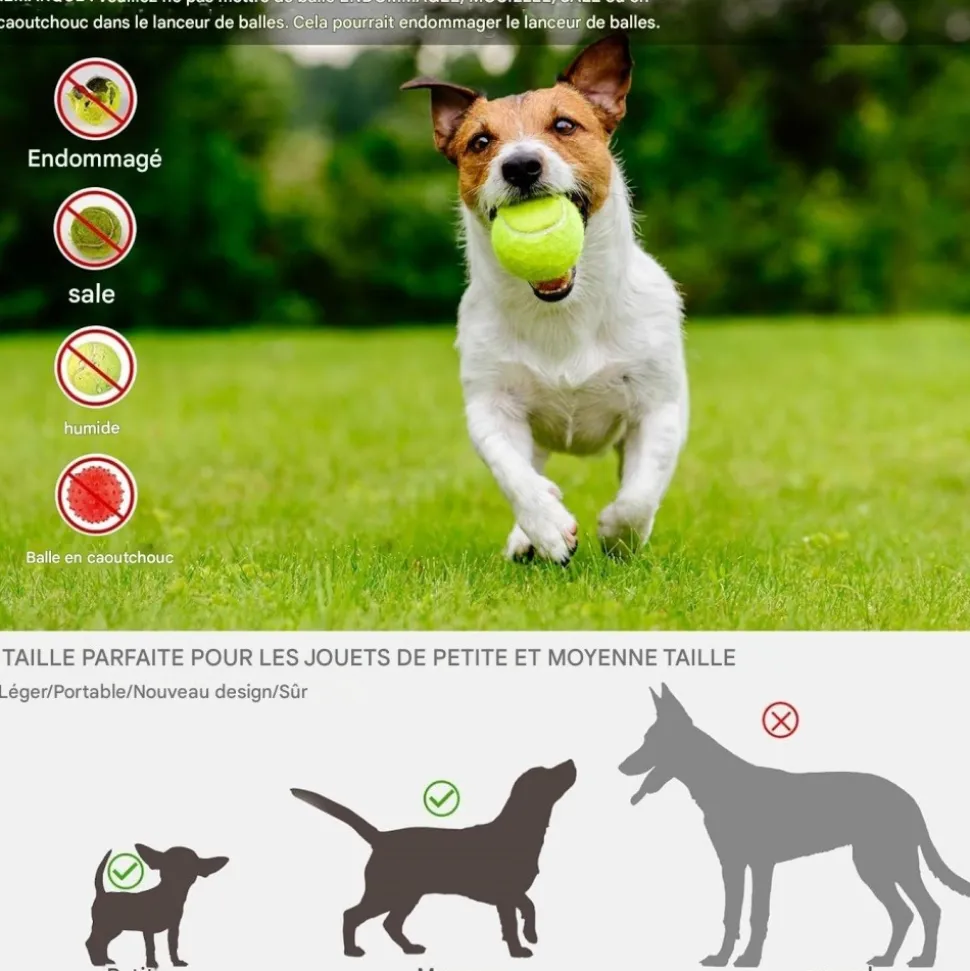 DOWNYPAWS - Lanceur de balles pour chien, alimentation automatique, balle adaptée, compact