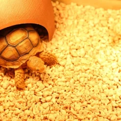 DOWNYPAWS - Litière - granulés d'épis de maïs naturels sans poussière