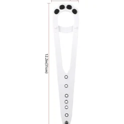 DOWNYPAWS - Loquet de porte pour chat