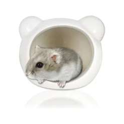 DOWNYPAWS - Maison fraîcheur hamster - céramique