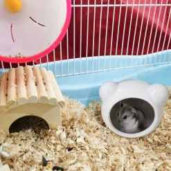 DOWNYPAWS - Maison fraîcheur hamster - céramique
