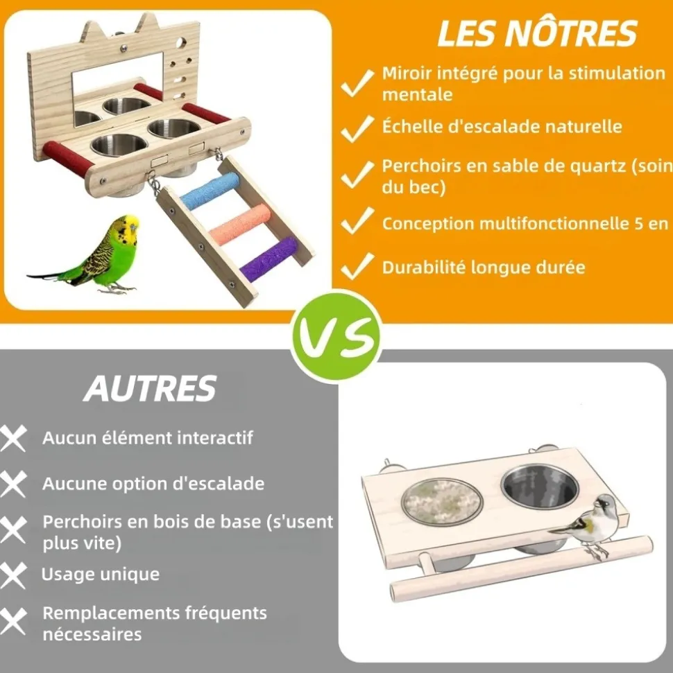 DOWNYPAWS - Miroir oiseau - perchoir en bois avec miroir