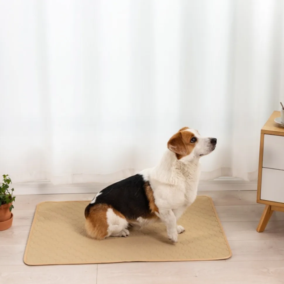DOWNYPAWS - Nappe anti-urine pour animaux de compagnie réutilisable 90*140cm beige