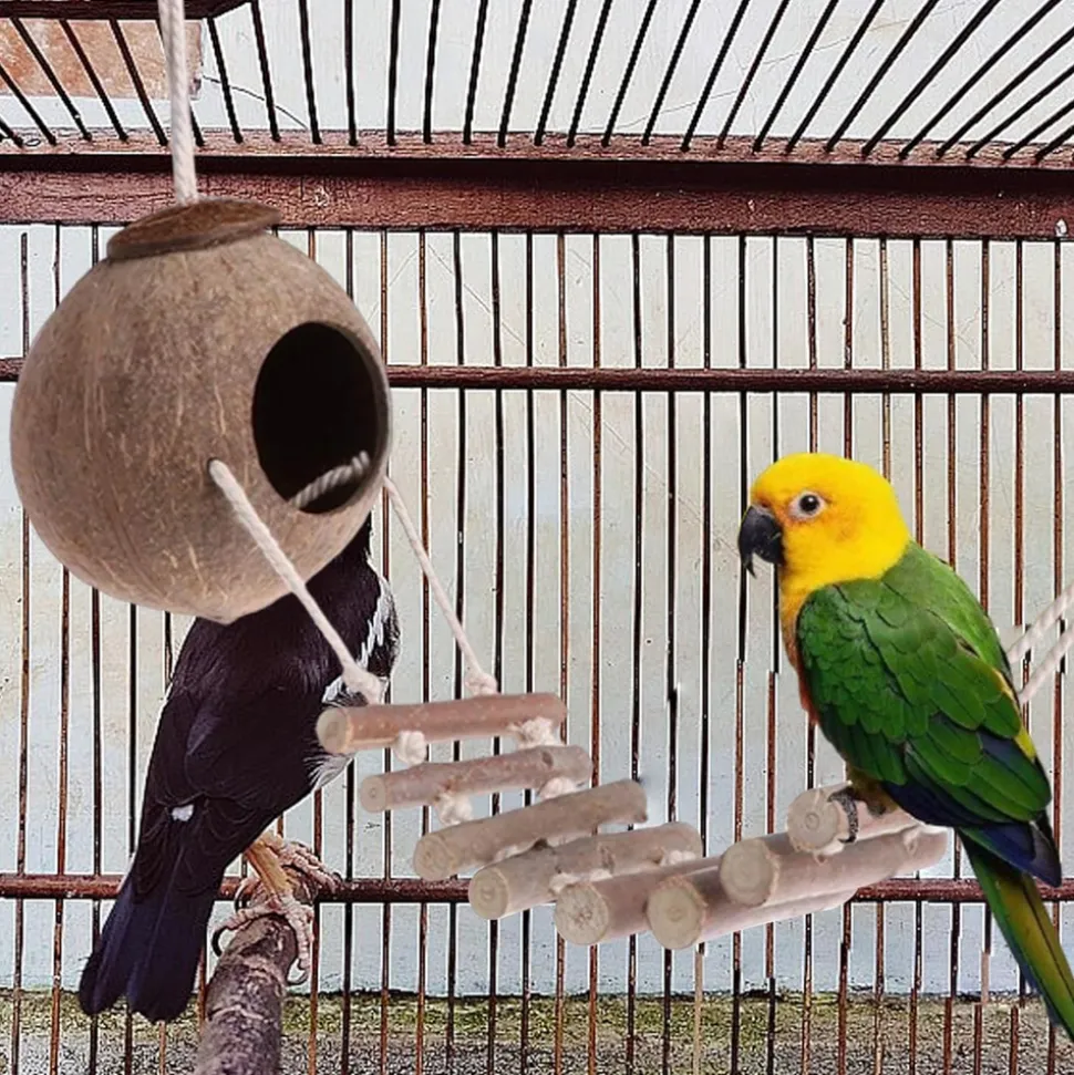 DOWNYPAWS - Nid d'oiseau, noix de conduite à perruche accrochée à la noix