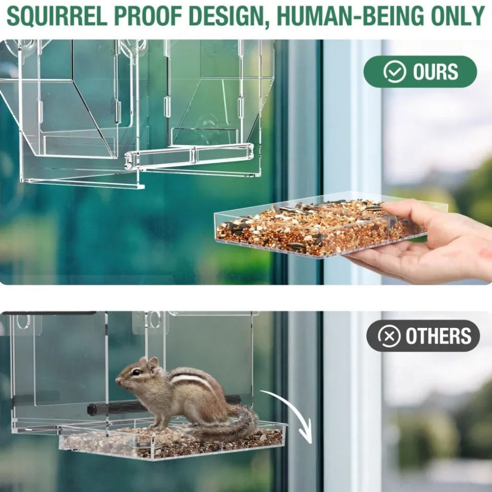 DOWNYPAWS - Nid d'oiseaux transparent - remplisseur d'aliments pour oiseaux pour fenêtre extérieure