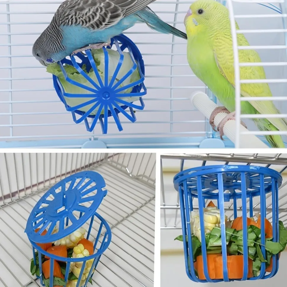 DOWNYPAWS - Nourrisseur - adapté pour oiseaux perroquets