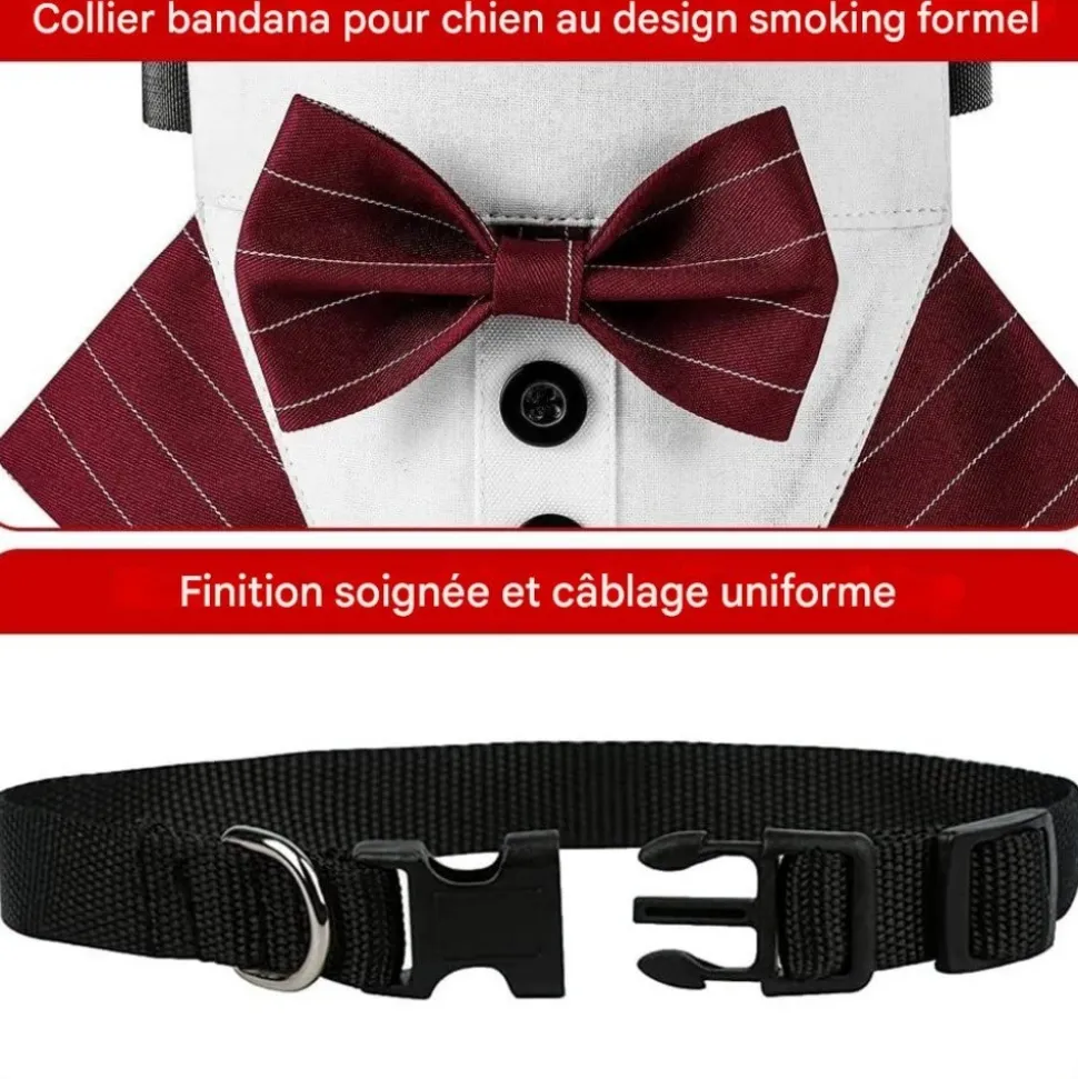 DOWNYPAWS - Nœud papillon pour chien