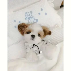 DOWNYPAWS - Petit pyjama respirant pour chiens et chats (printemps - été)