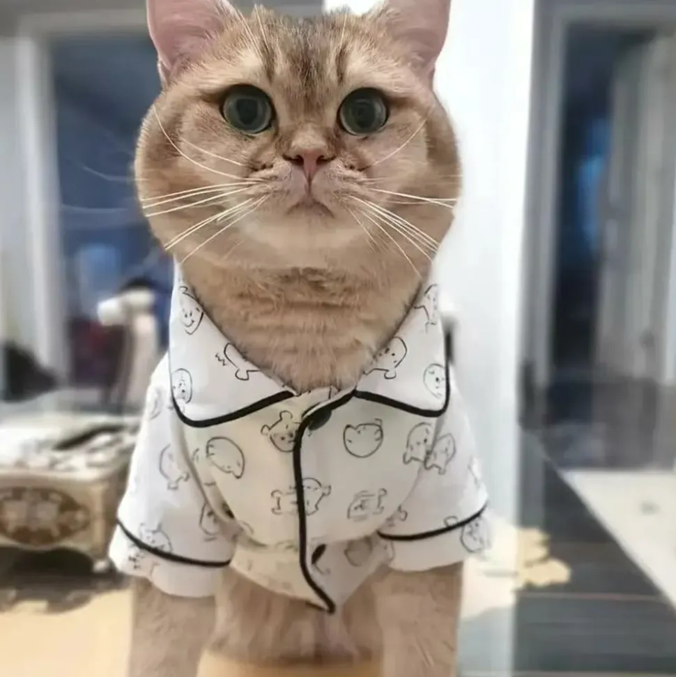 DOWNYPAWS - Petit pyjama respirant pour chiens et chats (printemps - été)