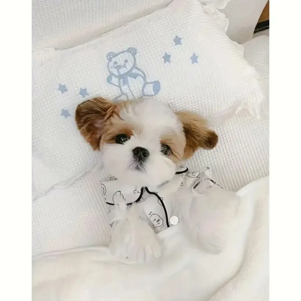DOWNYPAWS - Petit pyjama respirant pour chiens et chats (printemps - été)
