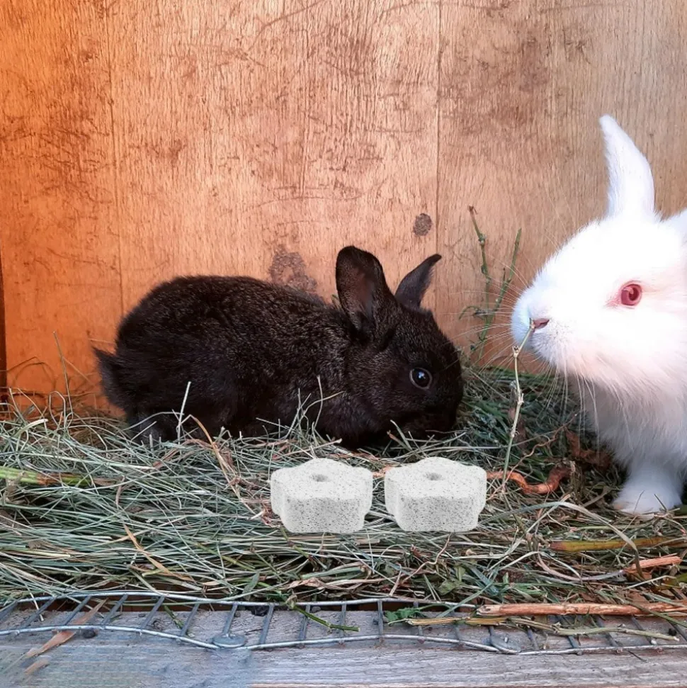 DOWNYPAWS - Pierre molaire jouet - 10 pièces pour chinchillas lapins et cobayes