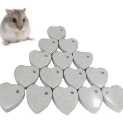 DOWNYPAWS - Pierre molaire jouet - 10 pièces pour chinchillas lapins et cobayes