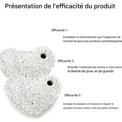 DOWNYPAWS - Pierre molaire jouet - 10 pièces pour chinchillas lapins et cobayes