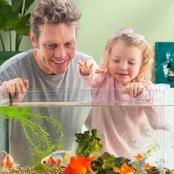 DOWNYPAWS - Plateau de nourriture transparent pour aquarium & crevettes l