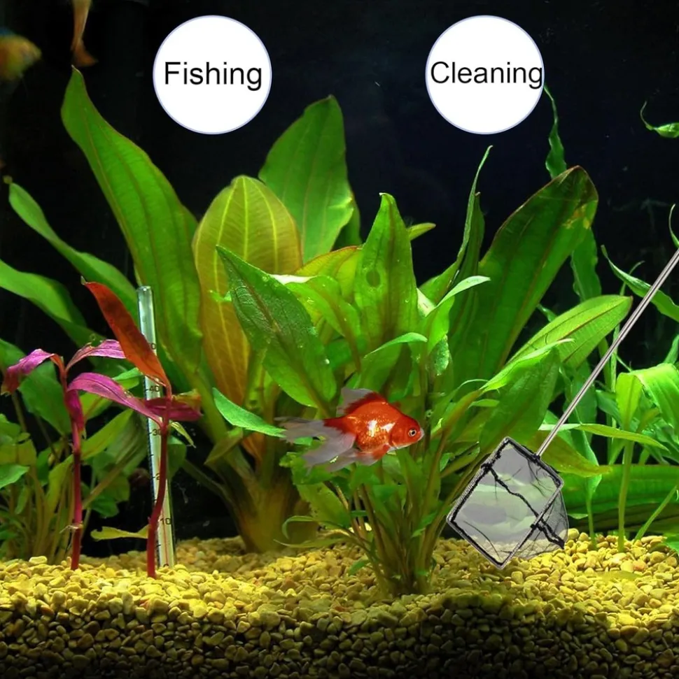 DOWNYPAWS - Épuisette aquarium - nettoyage déchets