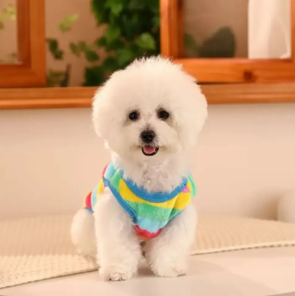 DOWNYPAWS - Pull arc - en - ciel, mignon pour chien