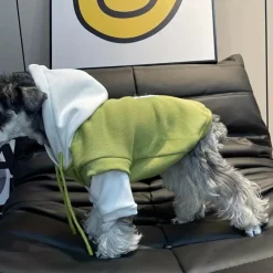 DOWNYPAWS - Pull à capuche confortable, tricot colorblock pour animaux de compagnie