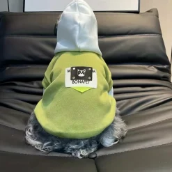 DOWNYPAWS - Pull à capuche confortable, tricot colorblock pour animaux de compagnie