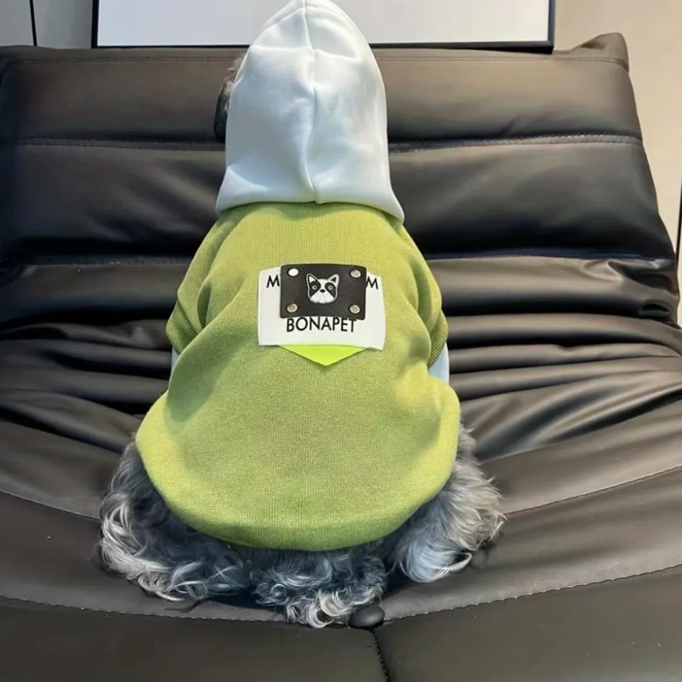 DOWNYPAWS - Pull à capuche confortable, tricot colorblock pour animaux de compagnie