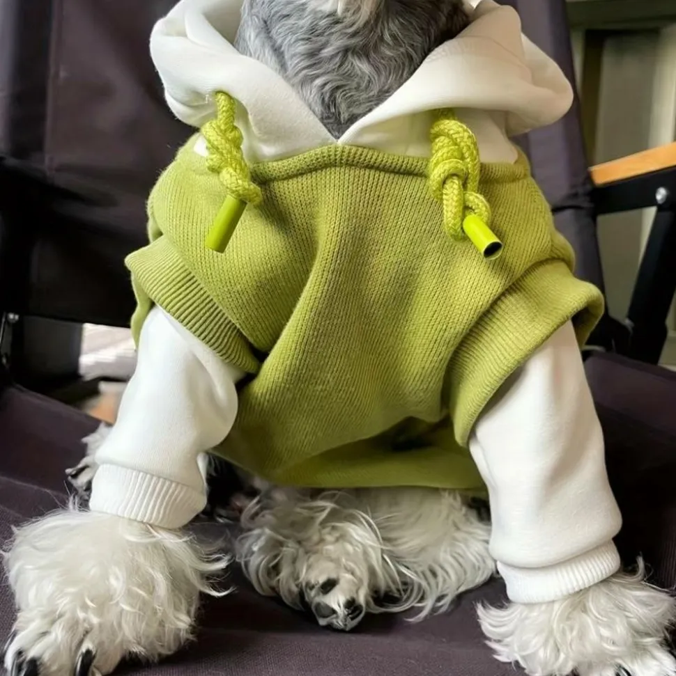 DOWNYPAWS - Pull à capuche confortable, tricot colorblock pour animaux de compagnie