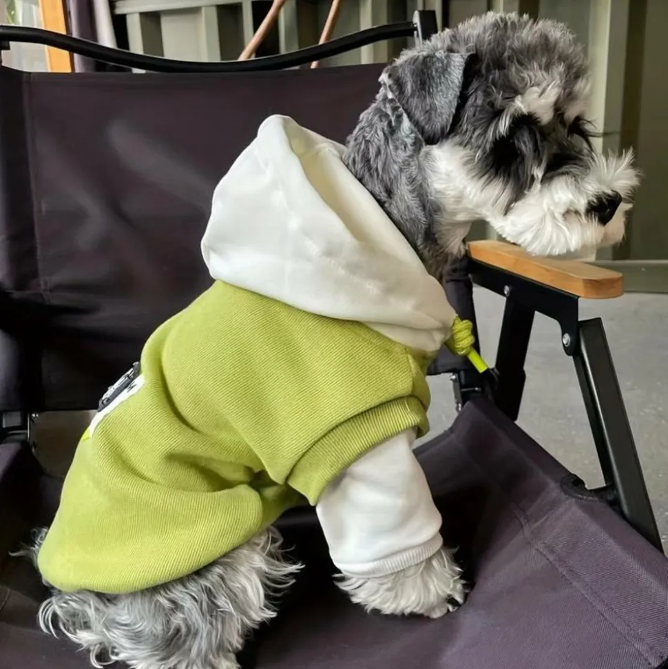 DOWNYPAWS - Pull à capuche confortable, tricot colorblock pour animaux de compagnie