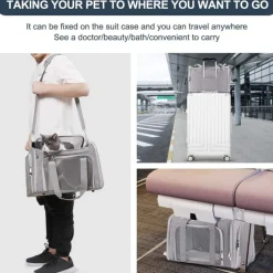 DOWNYPAWS - Sac de transport pour chat, portable et pliable vert taille s downypaws