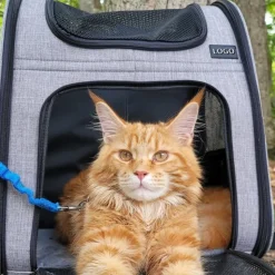 DOWNYPAWS - Sac à dos pour transport d'animaux