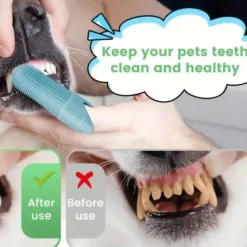 DOWNYPAWS - Set de 3 broches à dents en silicone pour chiens